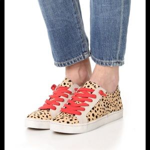 Dolce Vita Zalen Haircalf Sneakers